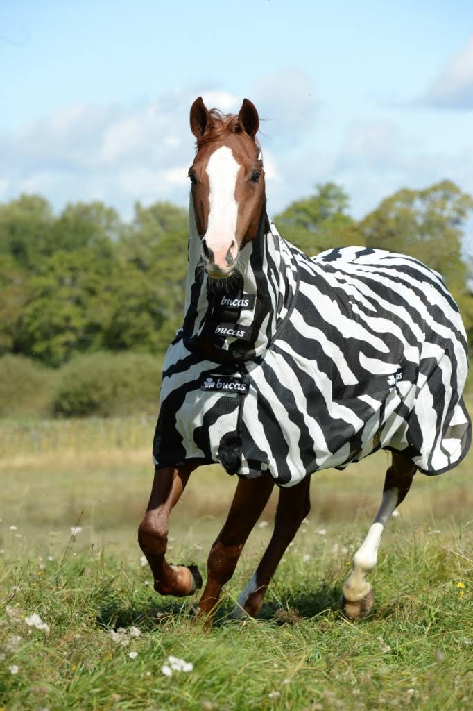 Zebra Full Neck C4423