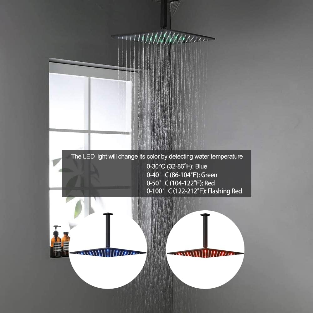 Matte Black 12 LED Rainfall Shower System with Handheld Shower G319