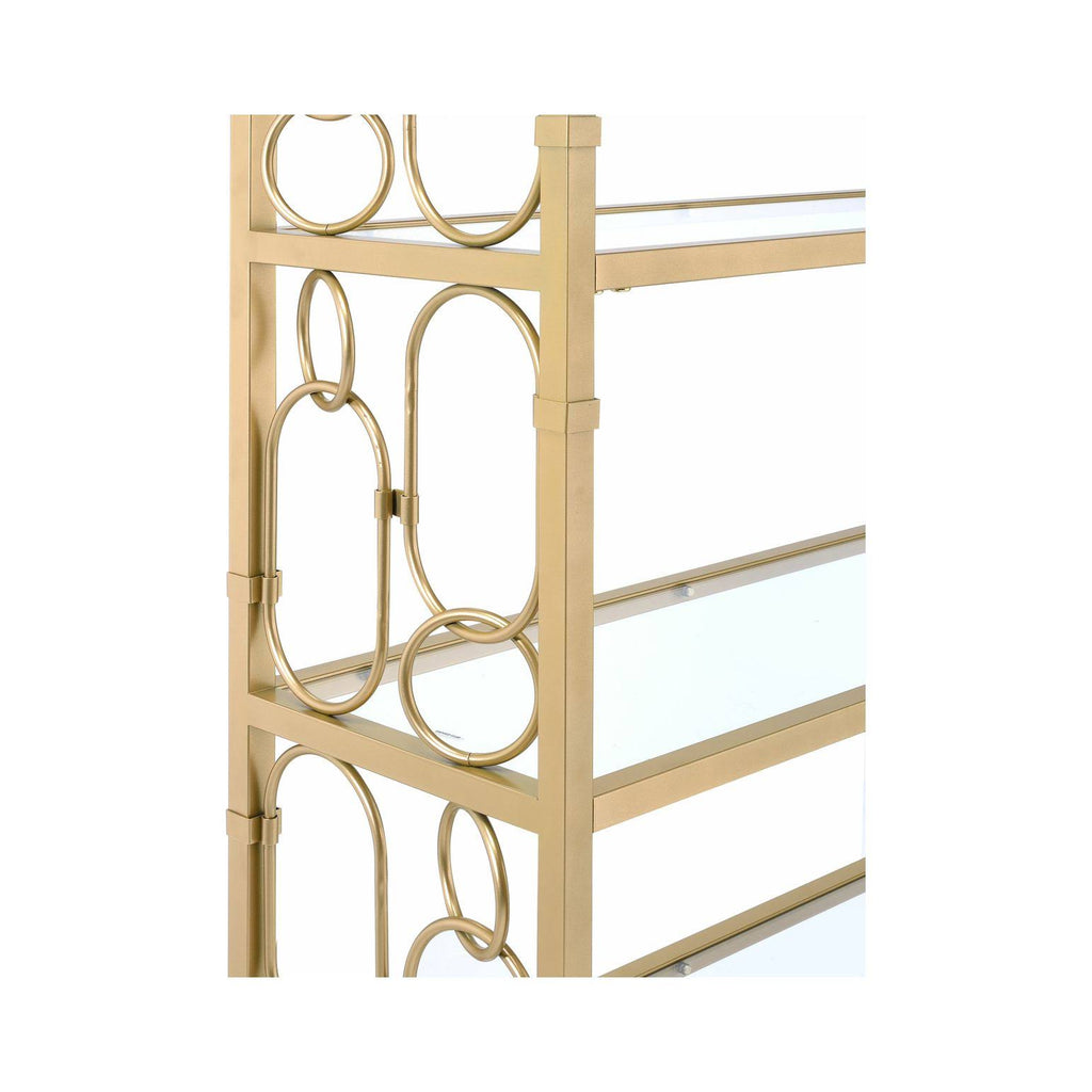 Clear Glass & Gold Bookshelf R376536