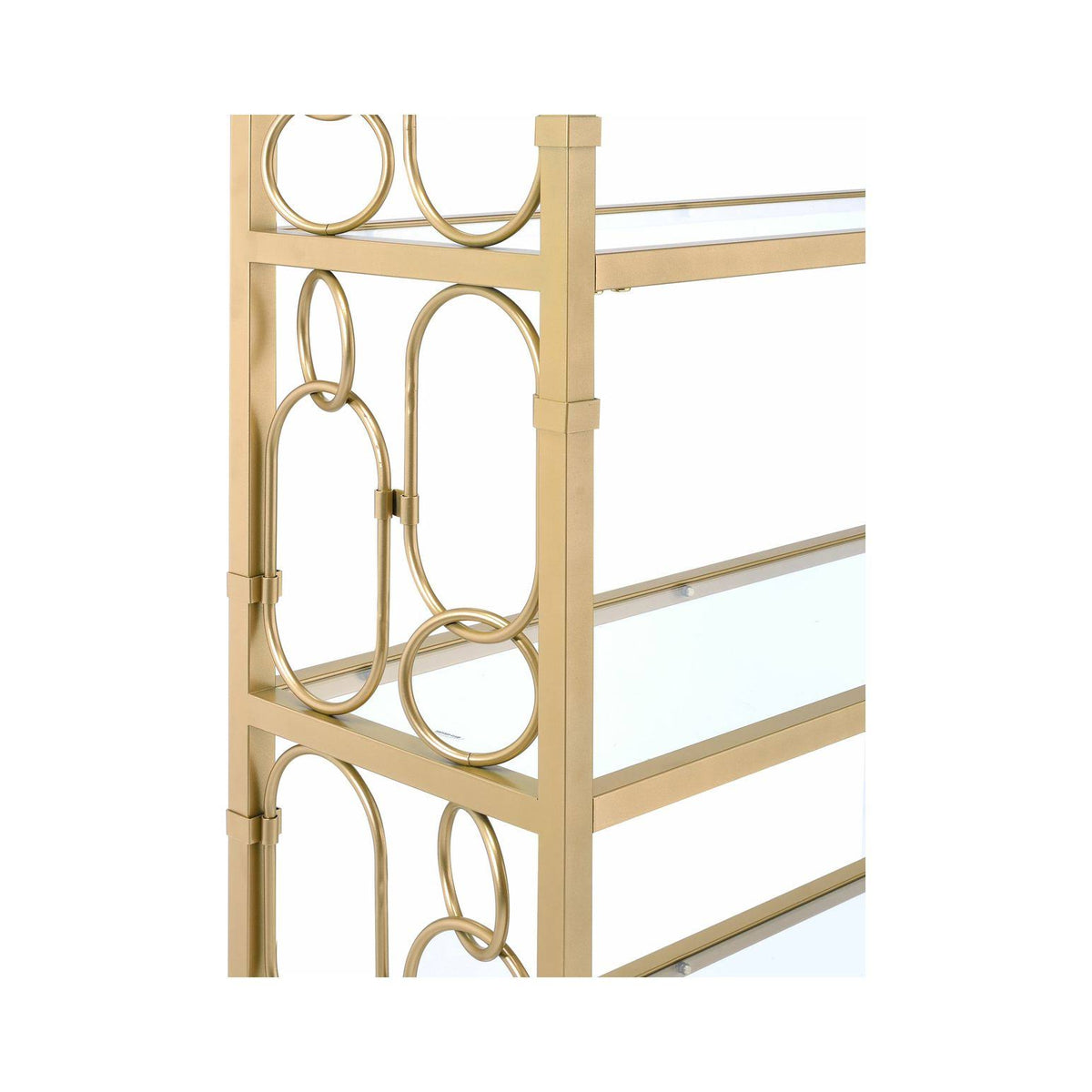 Clear Glass & Gold Bookshelf R376536
