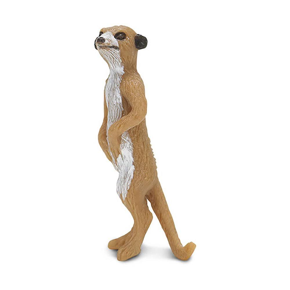 Meerkats I906