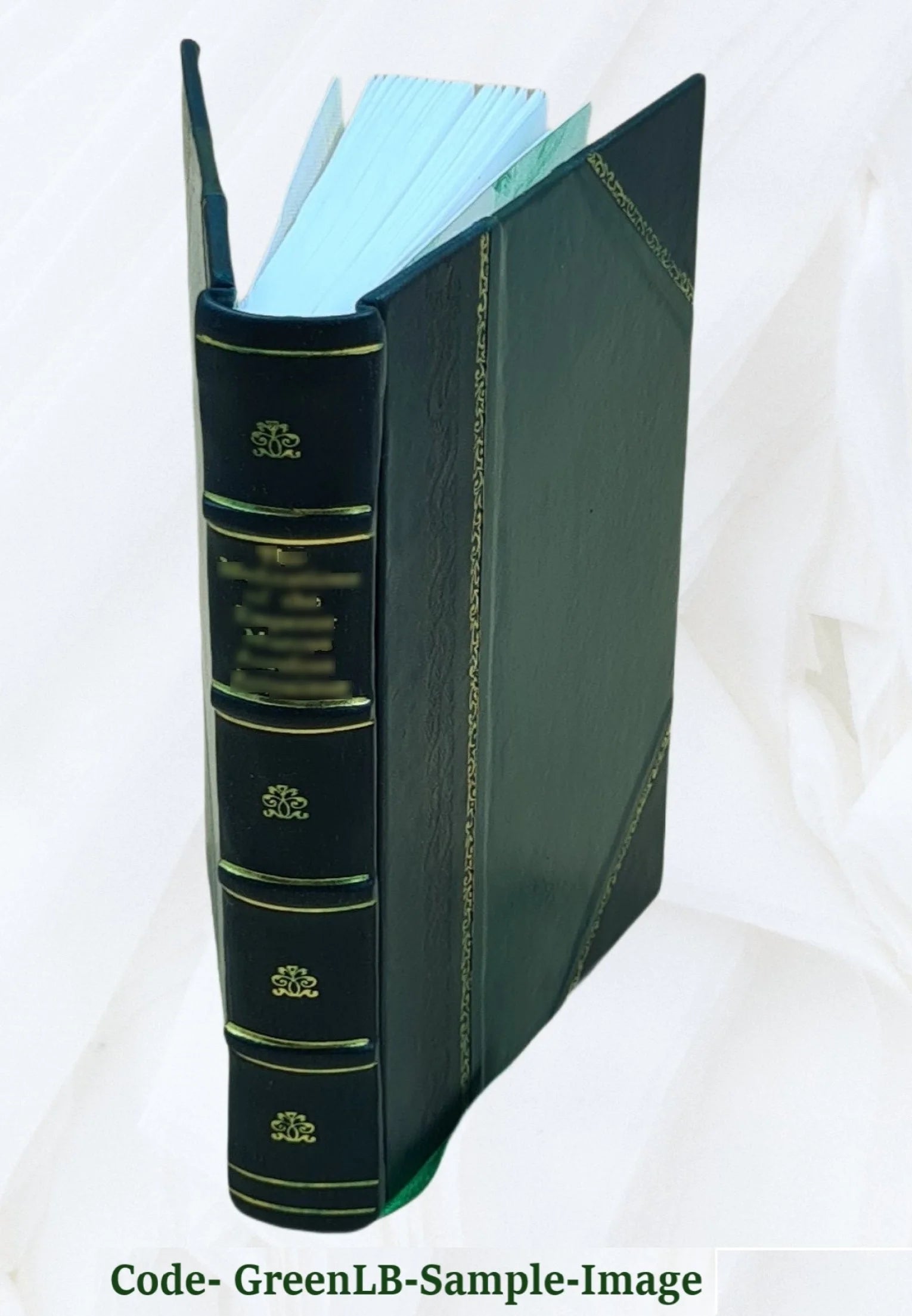Leather Bound Book F765537