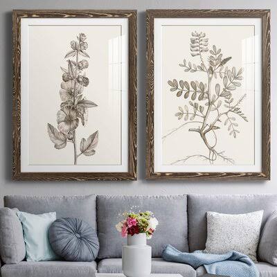 Walnut Framed Print C1923