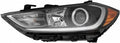 Headlight Assembly Driver Side Halogen with Daytime Running Light J9282