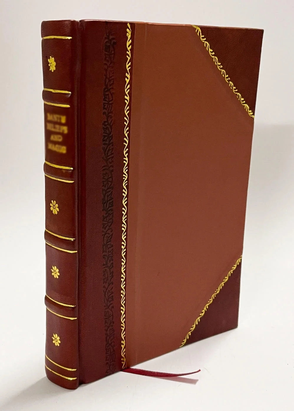 Leather Bound Book T4810