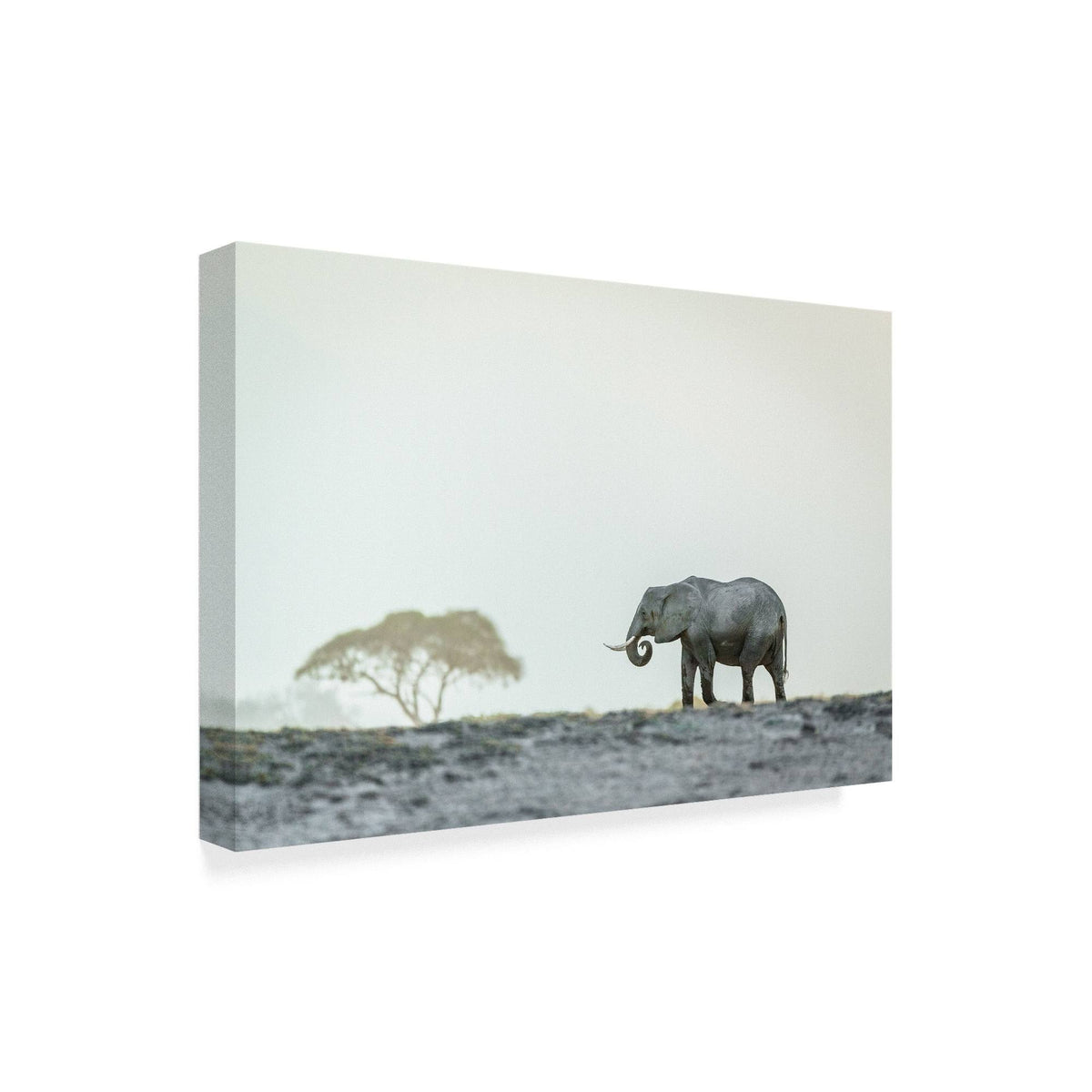Canvas Art H4541