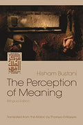 The Perception of Meaning Paperback W606