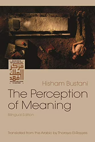The Perception of Meaning Paperback W606