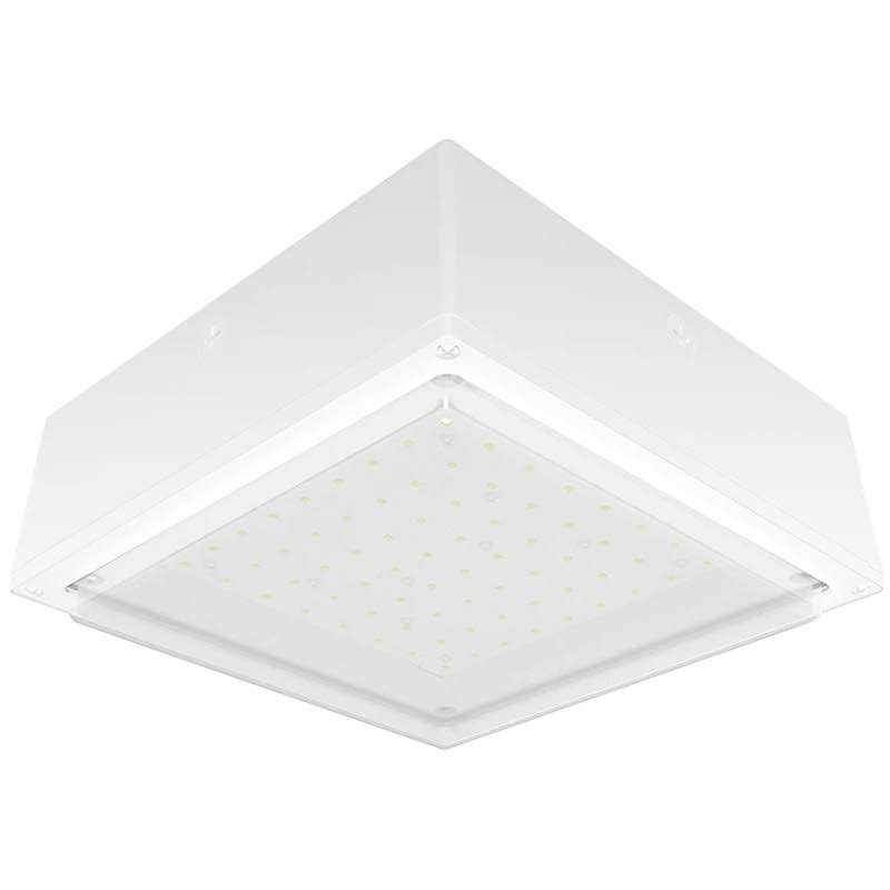 Frosted 10W Cool LED Drop Lens WH K966