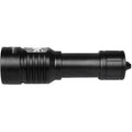 1600 Lumens Light B45647