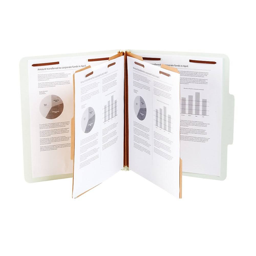 Classification Folder, 2-Dividers, 2 Boxes D579692