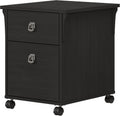 Vintage Black 2 Drawer Mobile File Cabinet A9395