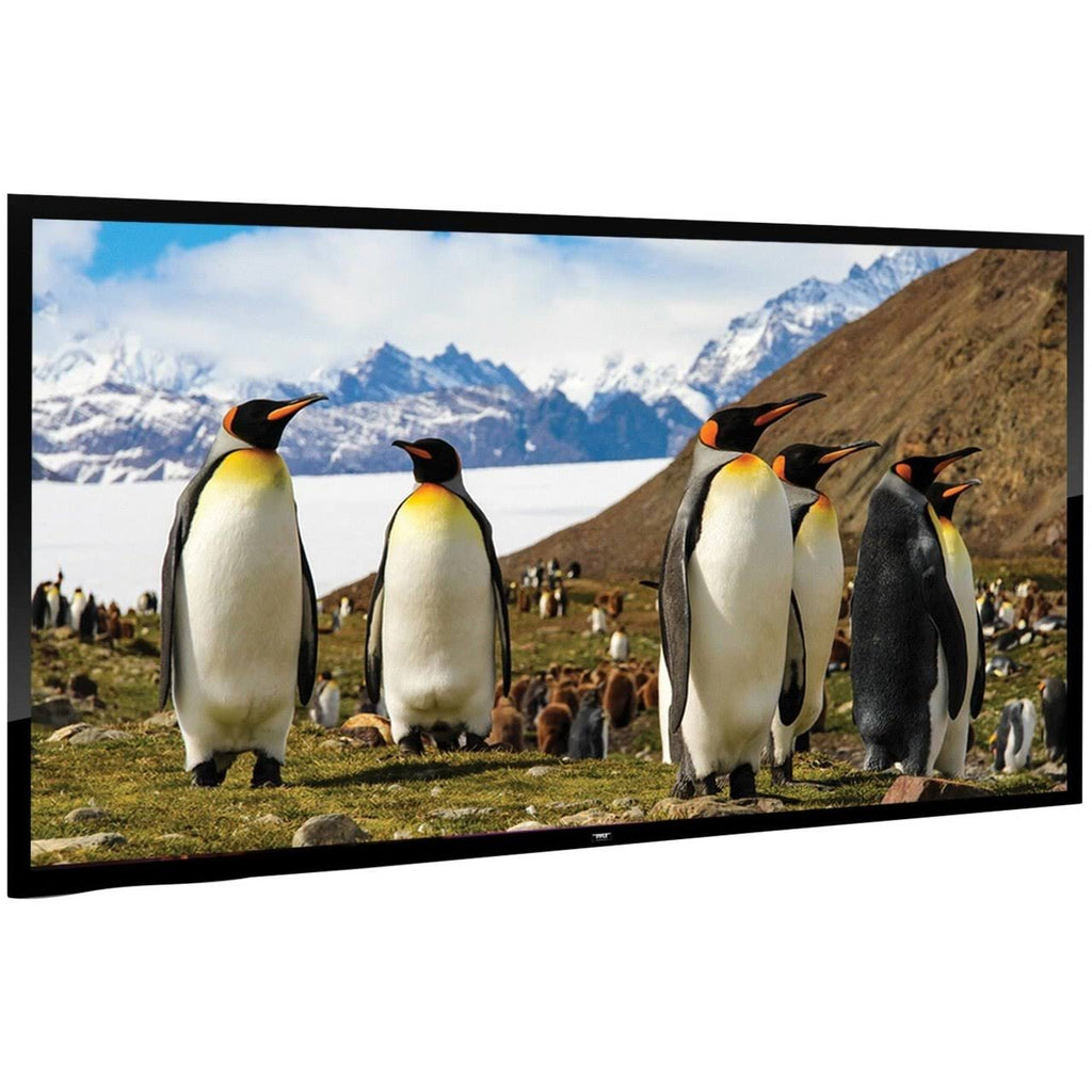 110x22 Fixed Wall-Mount Projector Screen M457787