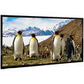 110x22 Fixed Wall-Mount Projector Screen M457787