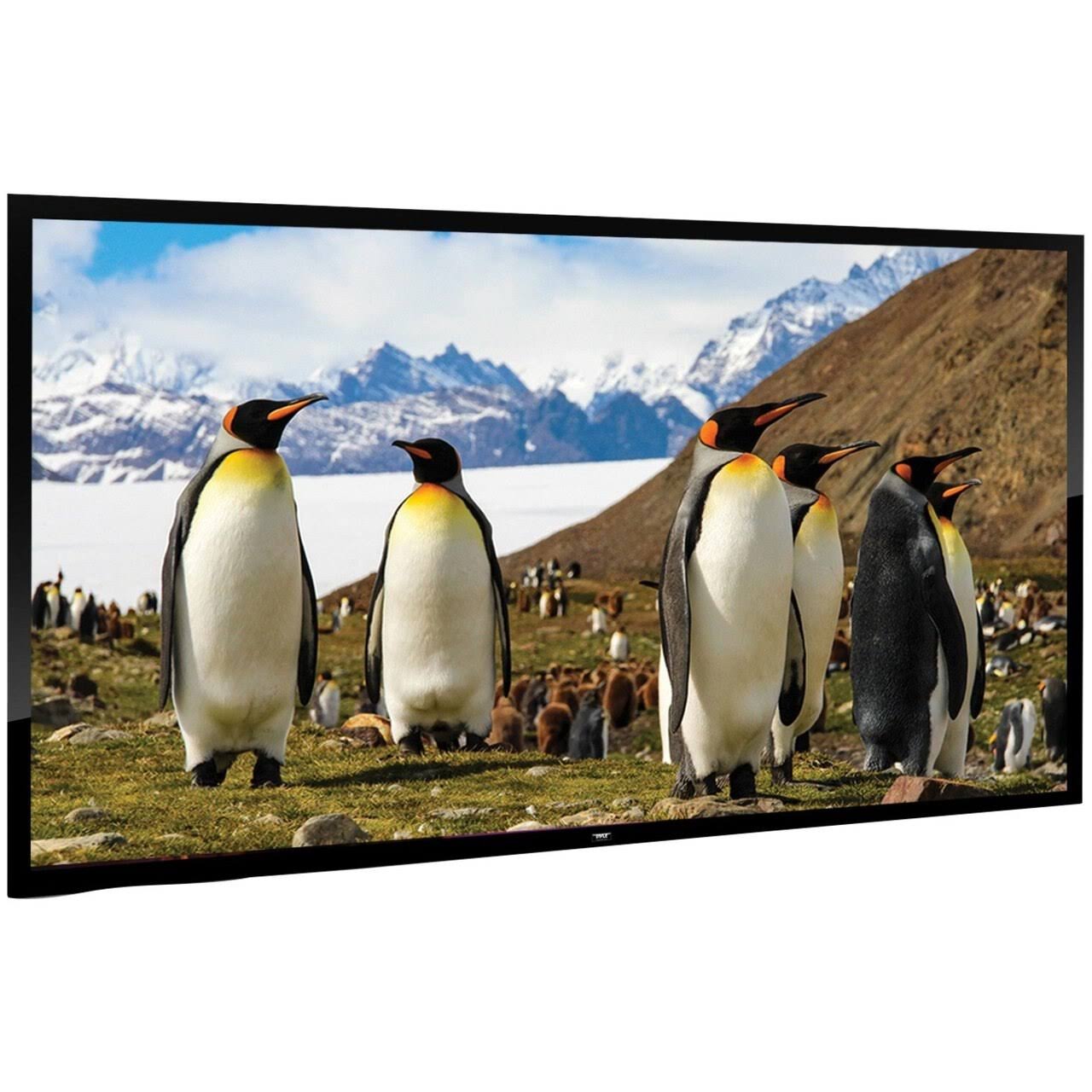 110x22 Fixed Wall-Mount Projector Screen M457787