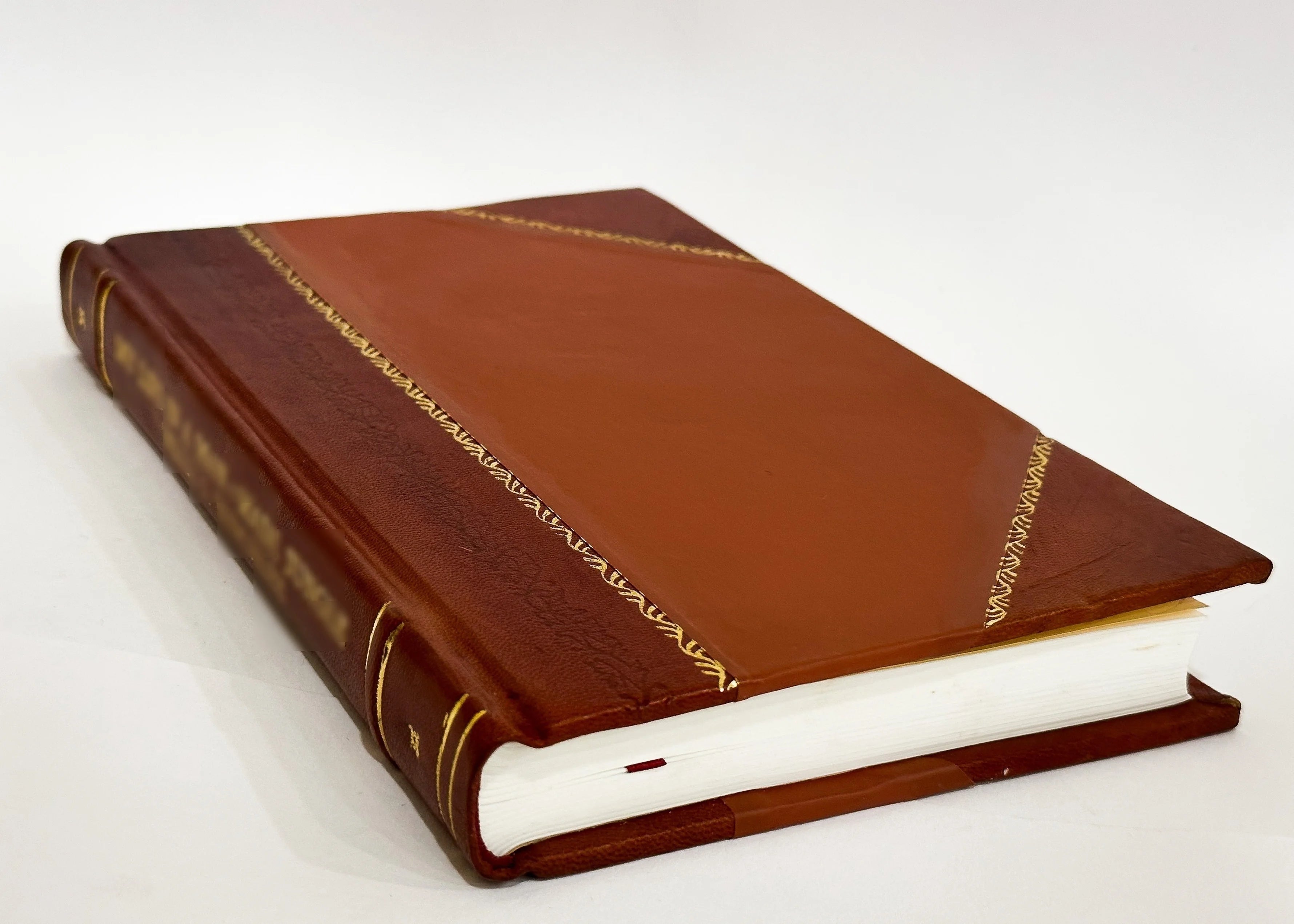 Leather Bound Book J510