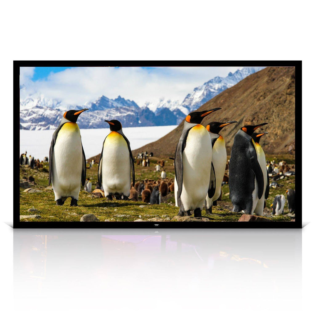 110x22 Fixed Wall-Mount Projector Screen M457787
