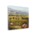 Vineyards to Vaca Mountains Art Print P510818