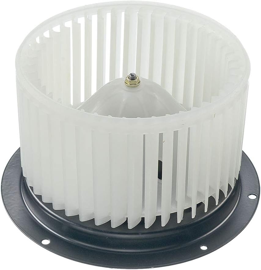 Heater Blower Motor with Fan Cage Pack of 2 F31918