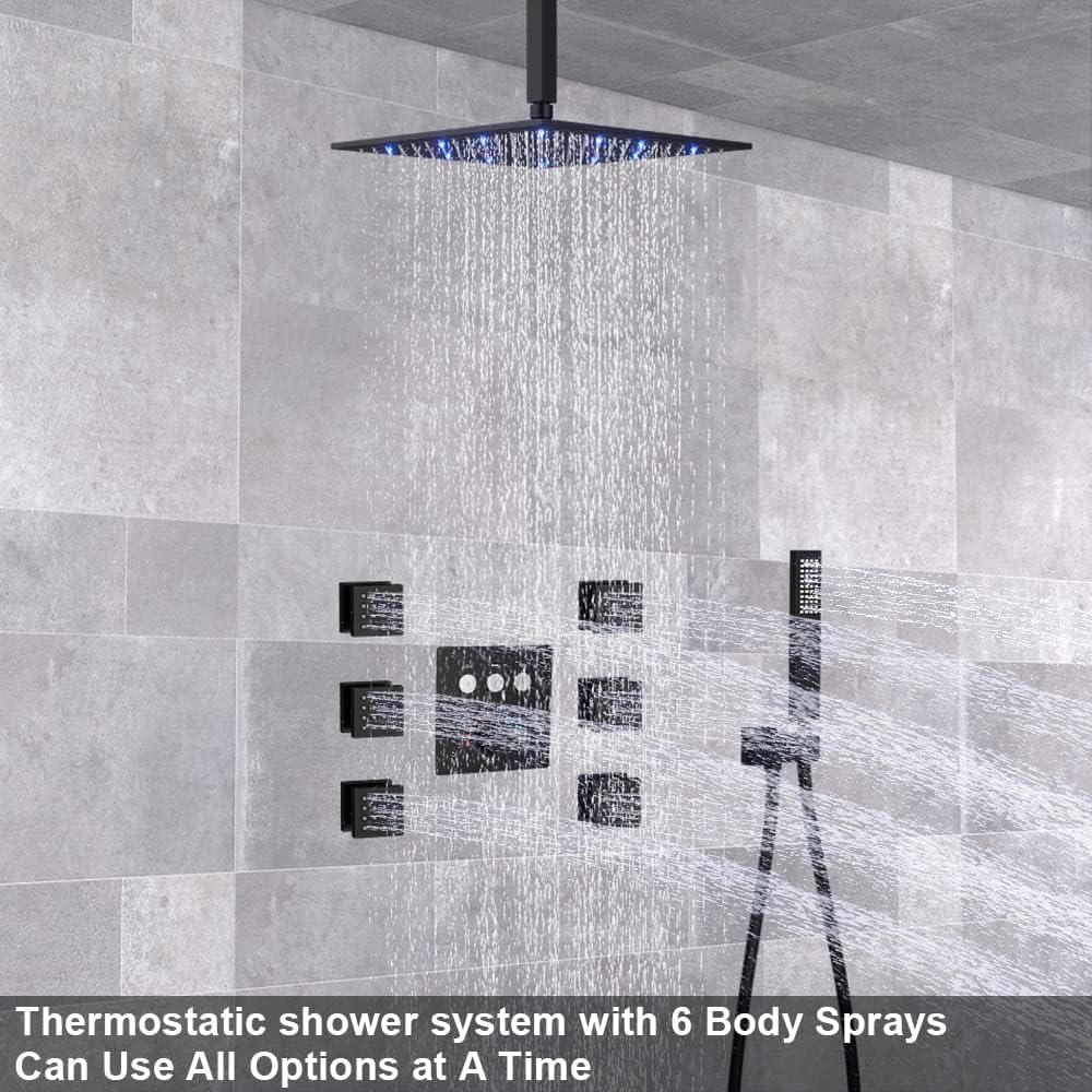 Matte Black 12 LED Rainfall Shower System with Handheld Shower G319