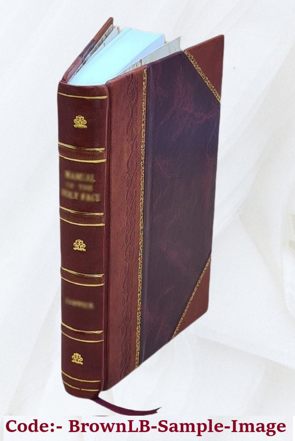 Leather Bound Book F765537