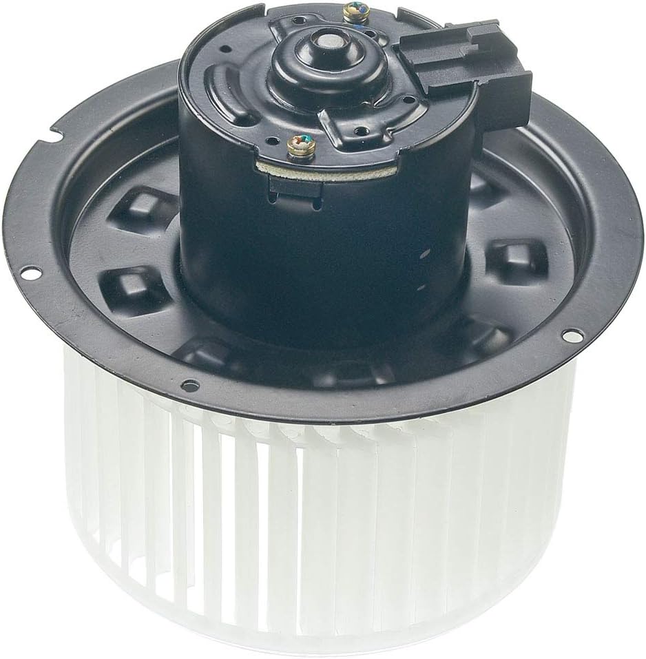 Heater Blower Motor with Fan Cage Pack of 2 F31918