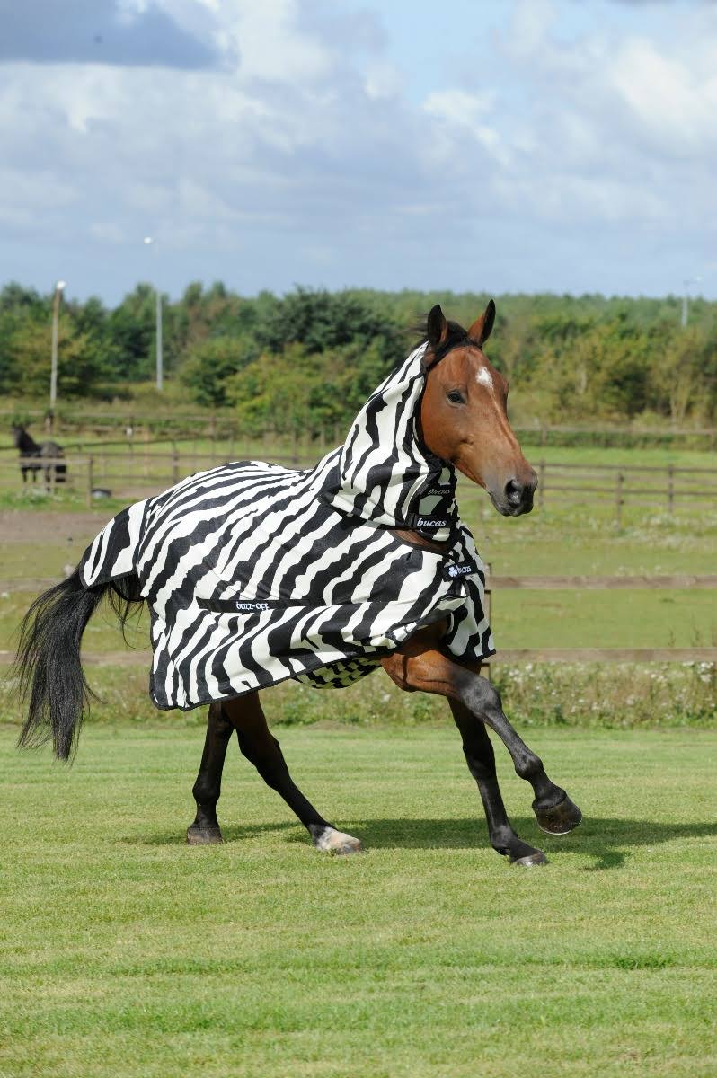 Zebra Full Neck C4423
