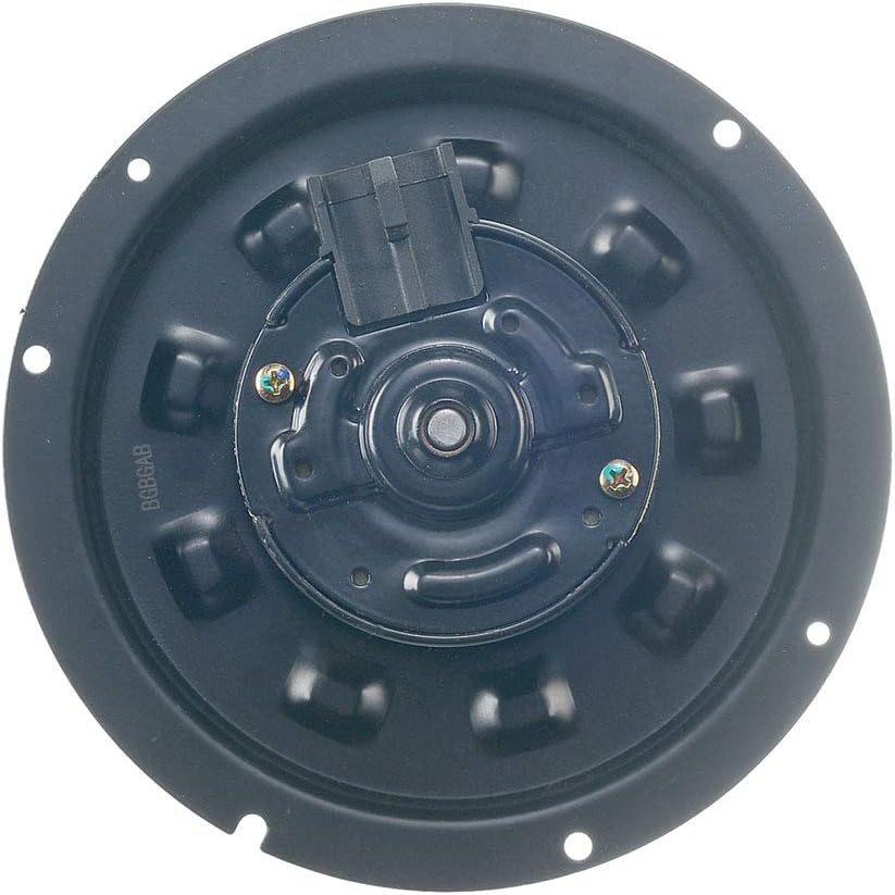 Heater Blower Motor with Fan Cage Pack of 2 F31918