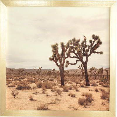 Beige Photographic on Wood in Gold Frame 20x22 X9776