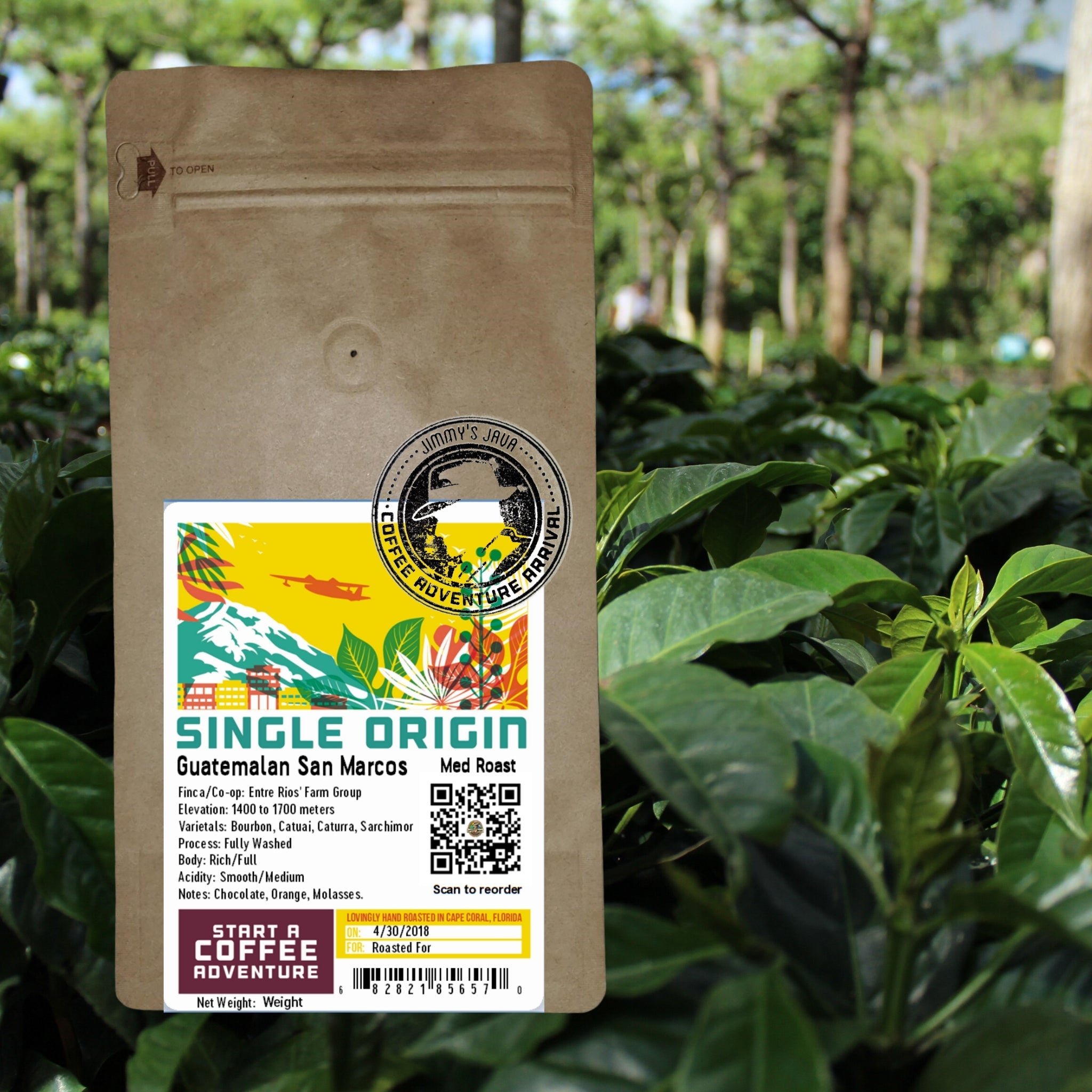 Medium Roast Guatemalan SHB San Marcos Coffee J83985