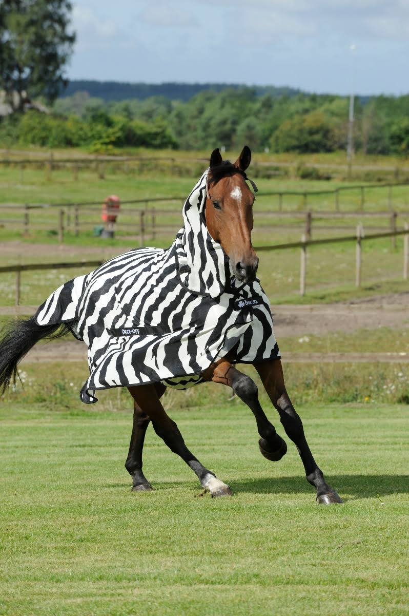 Zebra Full Neck C4423
