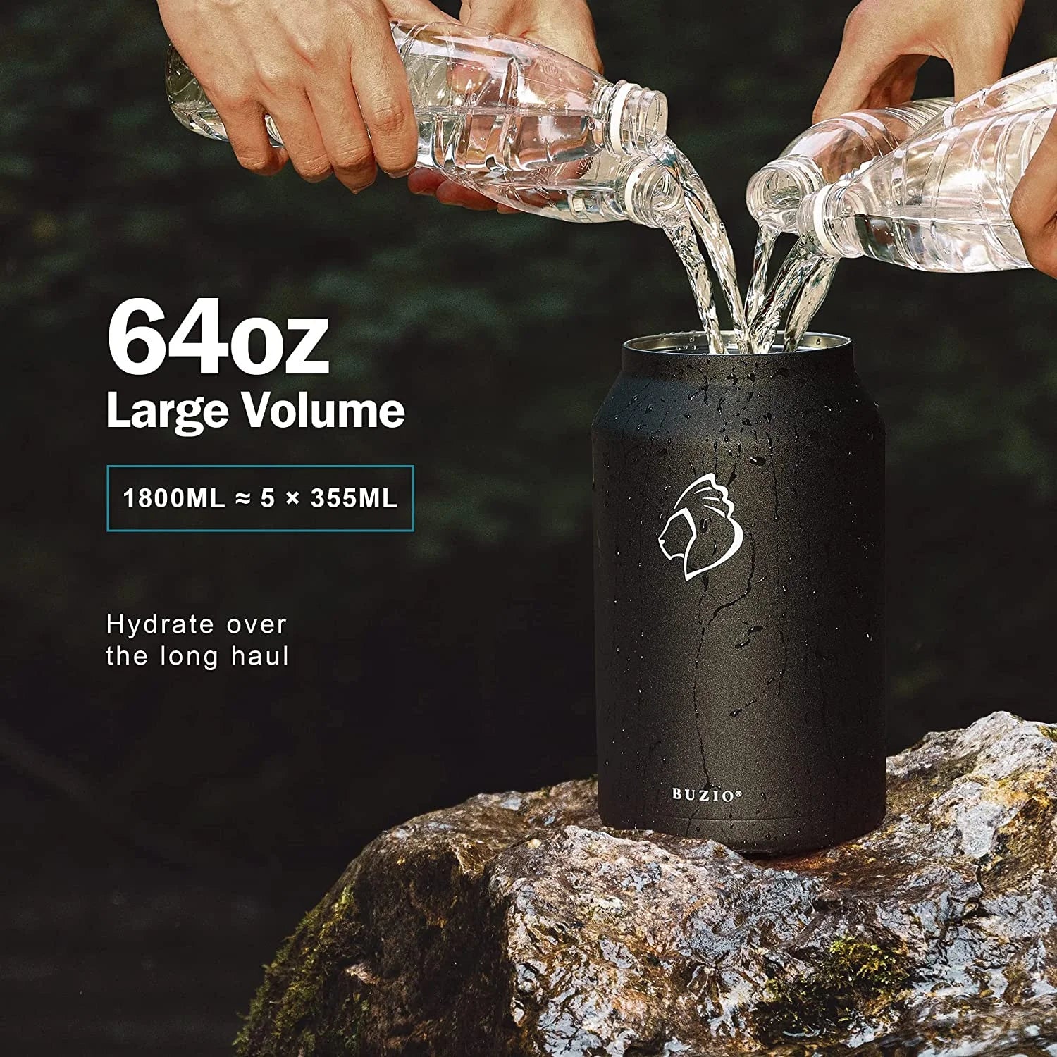 64oz Insulated Stainless Steel Water Bottle with Straw Lid Q549881