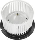 Heater Blower Motor with Fan Cage Pack of 2 F31918