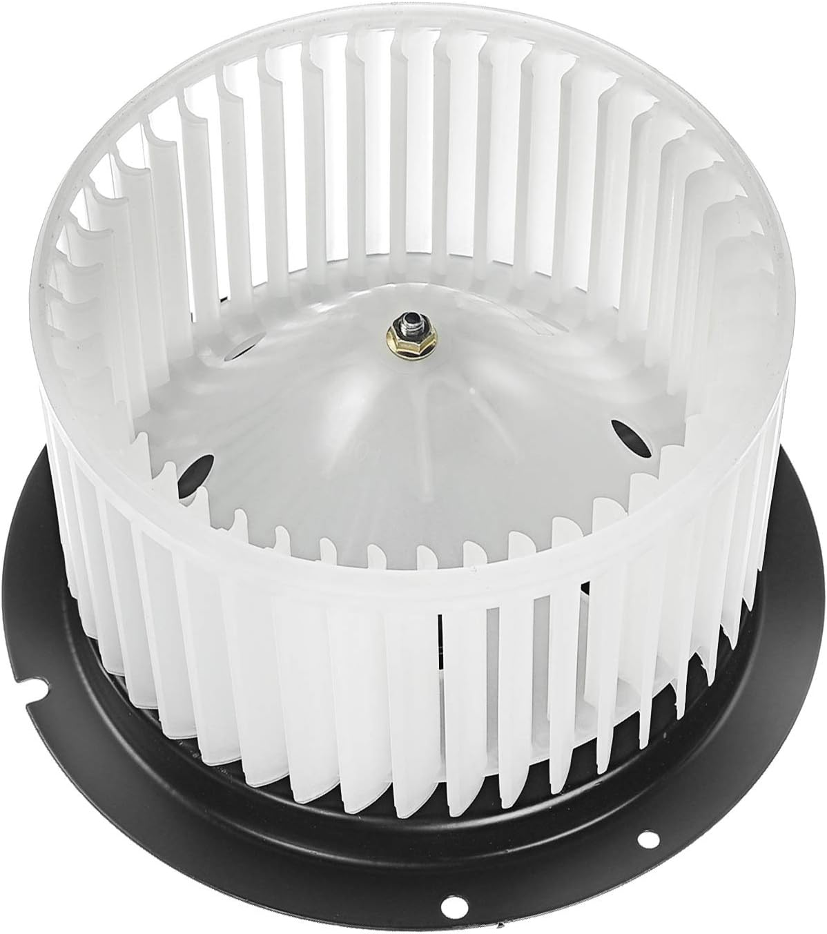 Heater Blower Motor with Fan Cage Pack of 2 F31918