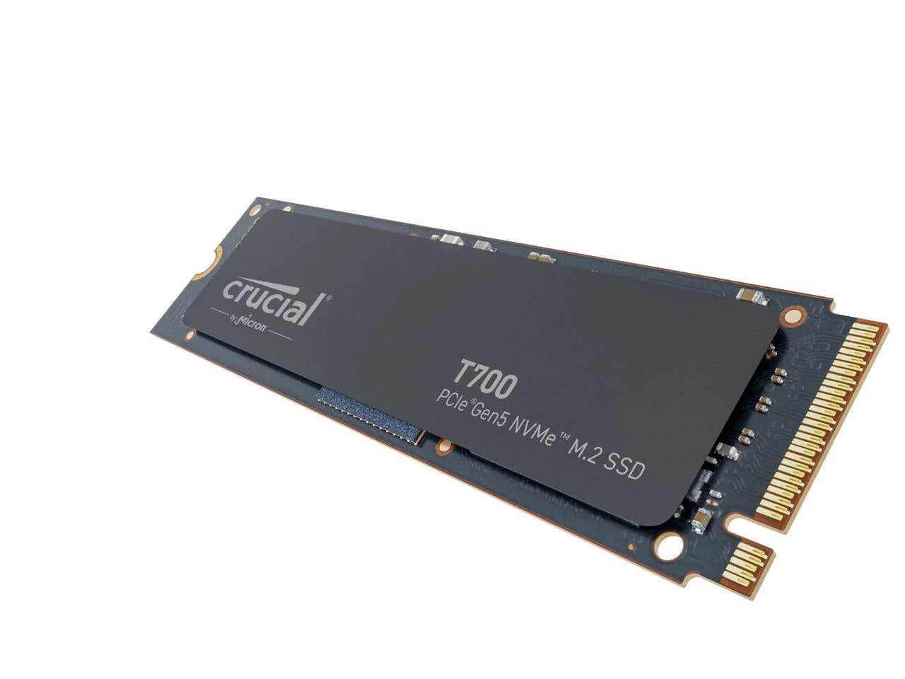 2TB Gen5 NVME M.2 SSD P6064