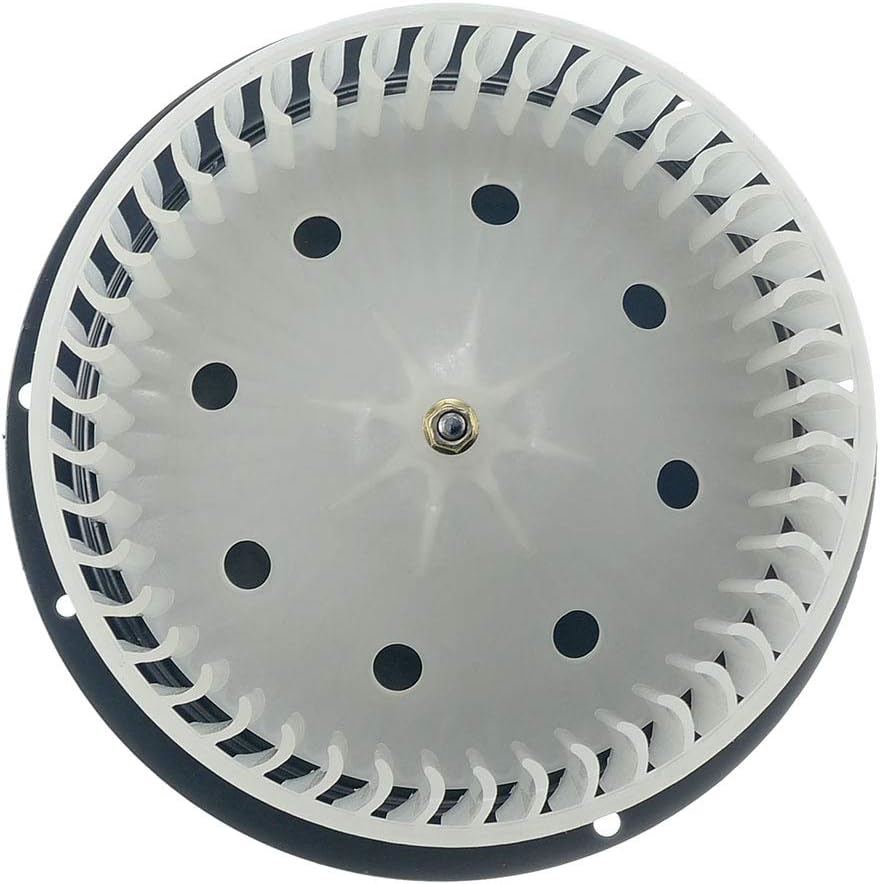 Heater Blower Motor with Fan Cage Pack of 2 F31918