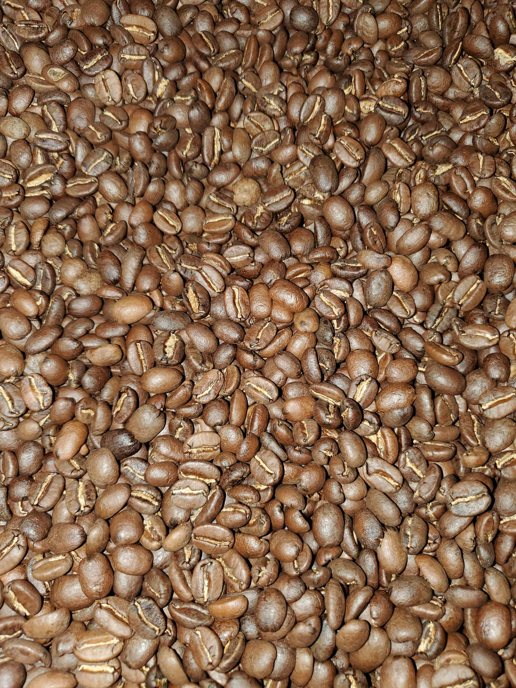 Medium Roast Guatemalan SHB San Marcos Coffee J83985