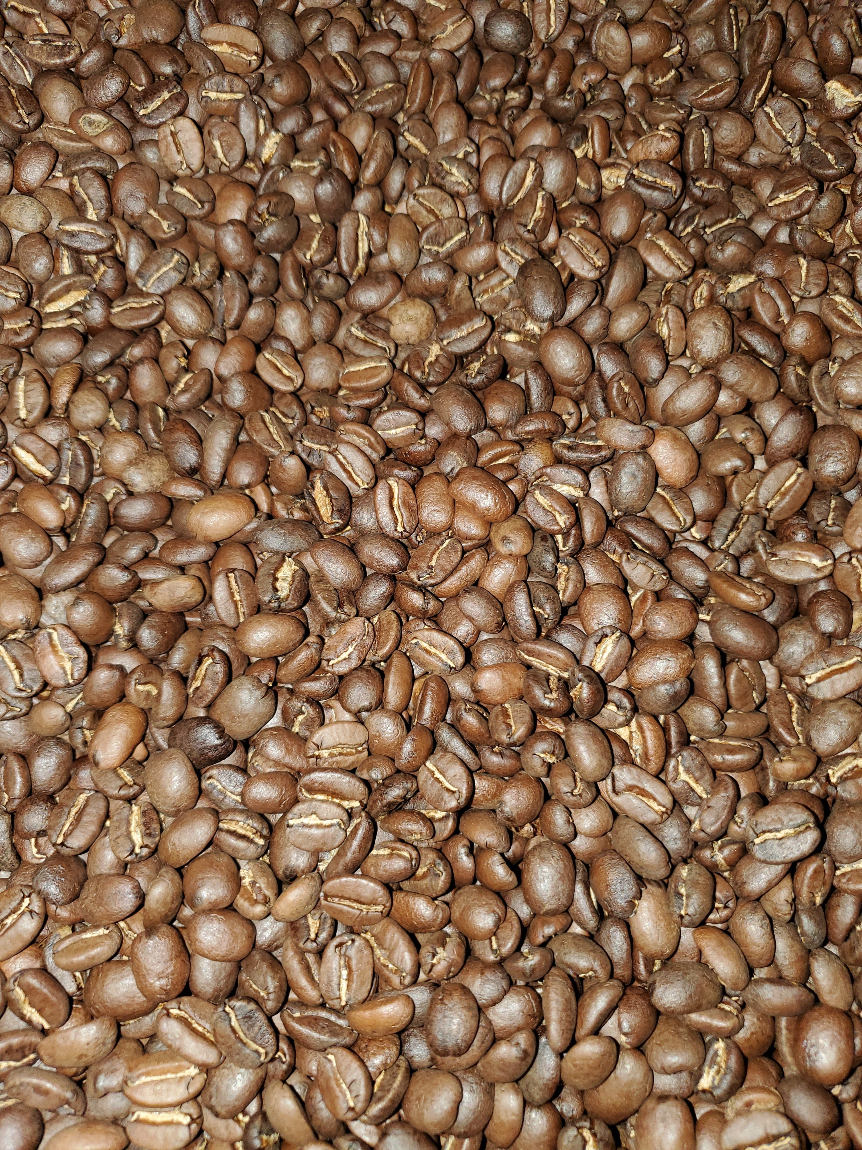 Medium Roast Guatemalan SHB San Marcos Coffee J83985