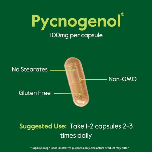 Pycnogenol 100mg 60 Capsules French Maritime Pine Bark Extract T41626