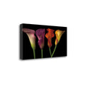 Calla Lilies Fine Art Jewel T9948