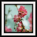 Photographic Print 38x22 Black Frame T395
