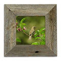 Matte Wood Frame Set Weathered Gray 11x22 x 14x22 B48444