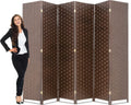 Brown Wood Mesh Folding Room Divider Screen M10510