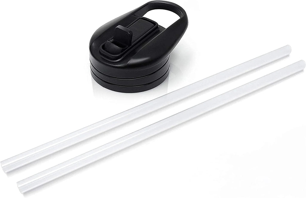 1L Insulated Stainless-Steel Water Bottle with Straw V934242