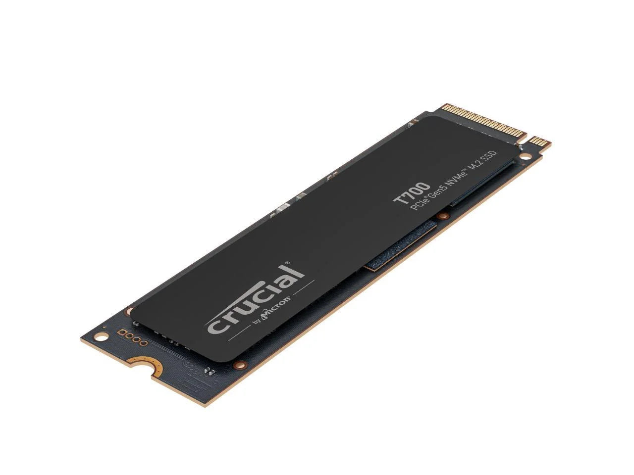 2TB Gen5 NVME M.2 SSD P6064