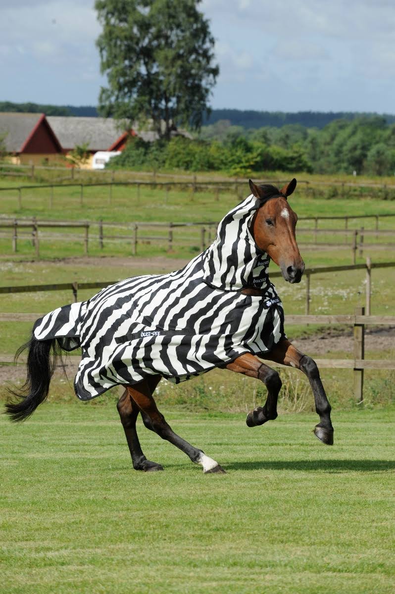 Zebra Full Neck C4423