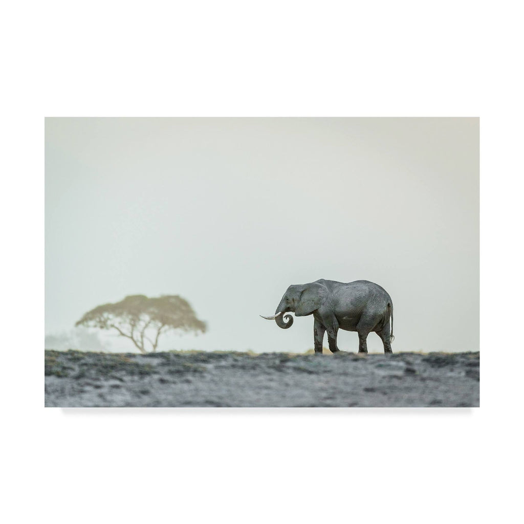 Canvas Art H4541