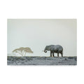 Canvas Art H4541