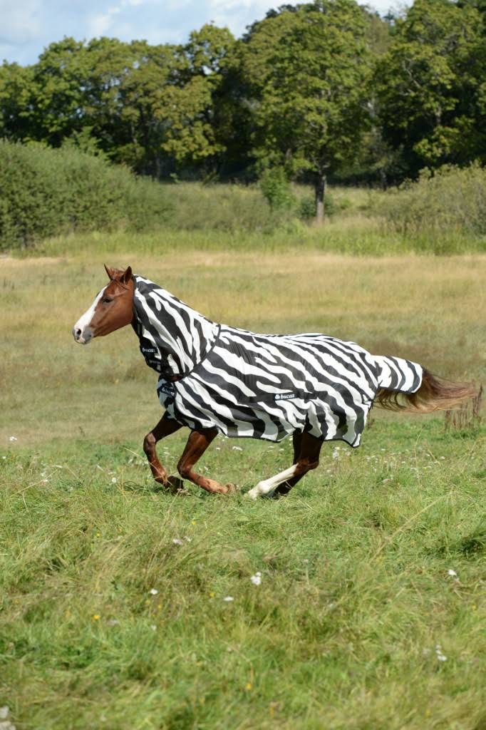 Zebra Full Neck C4423