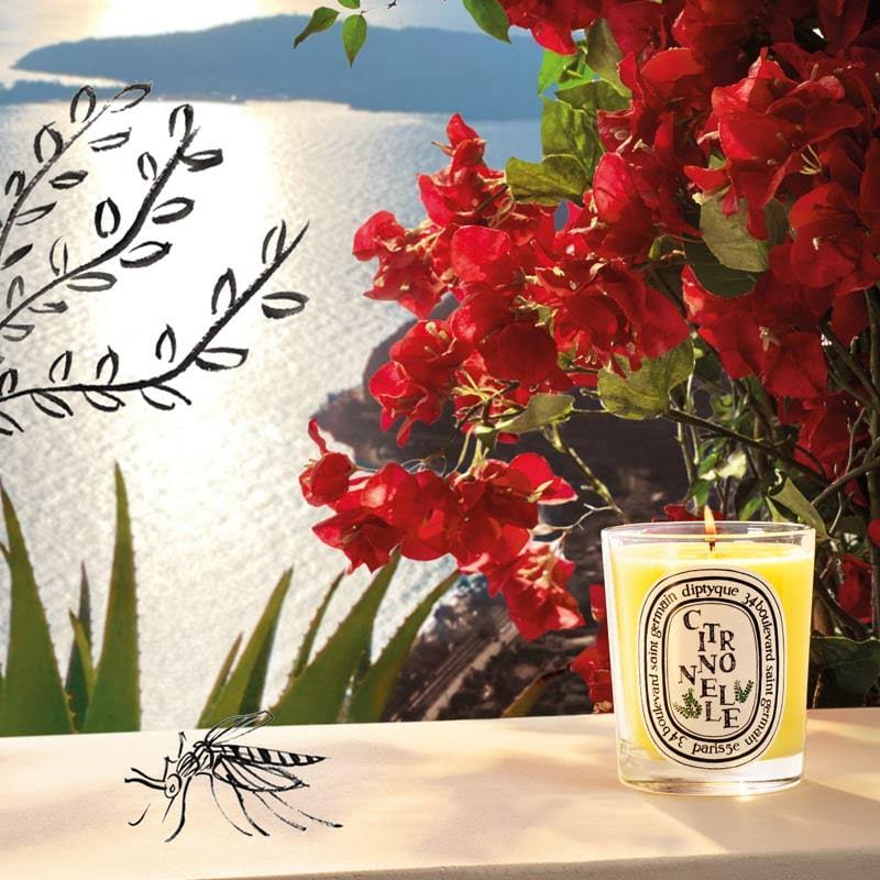 Citronnelle Candle R357468